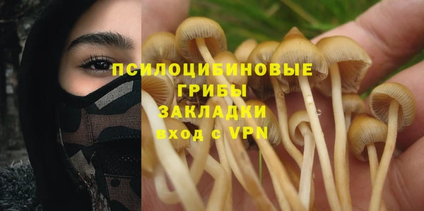шишки Армянск