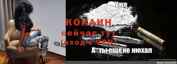 шишки Армянск