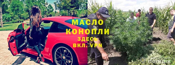 каннабис Аркадак