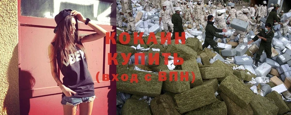 каннабис Аркадак
