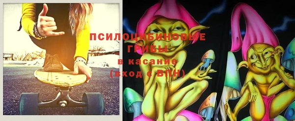 твердый Арсеньев