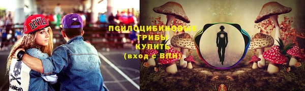 твердый Арсеньев